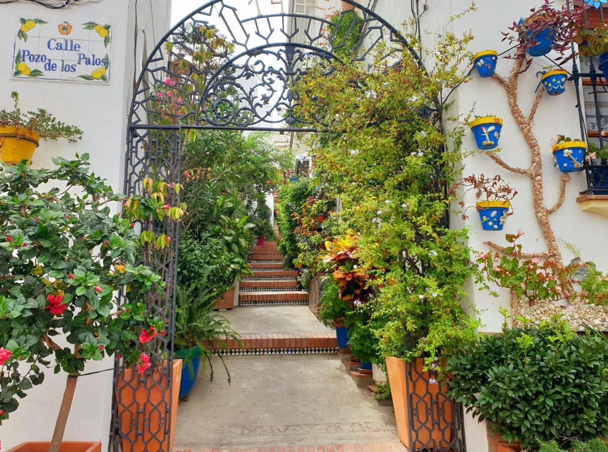 Casitamar Frontline Beach House Rental Casares Costa Near Estepona Bahia de Casares Exterior foto